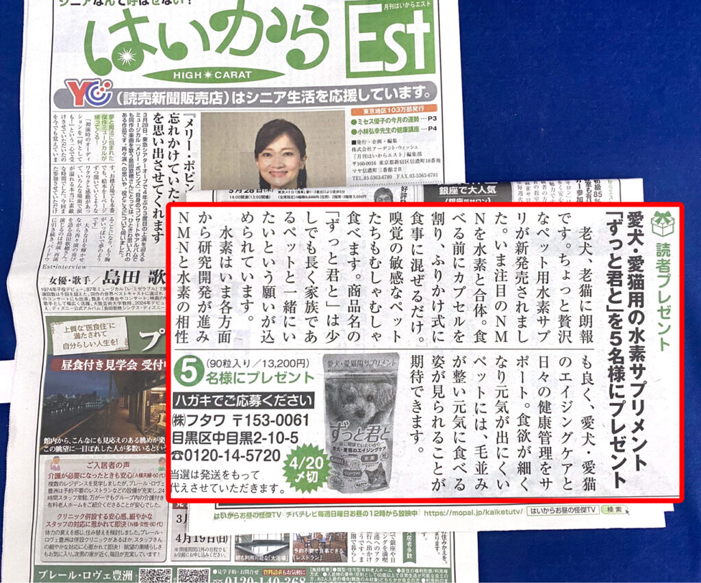 読売新聞折込 都内版(103万部) はいからest